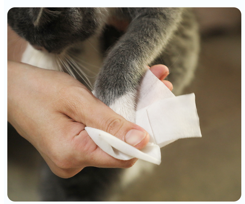 Petter Pet Grooming Wipes 80 Pulls - Animall Philippines