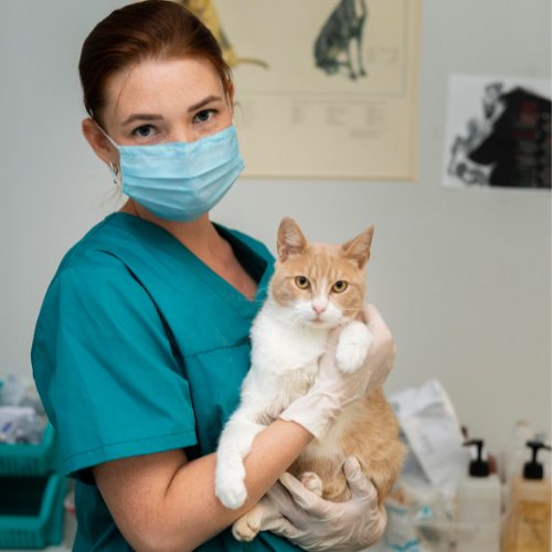 Pet Care Specialist