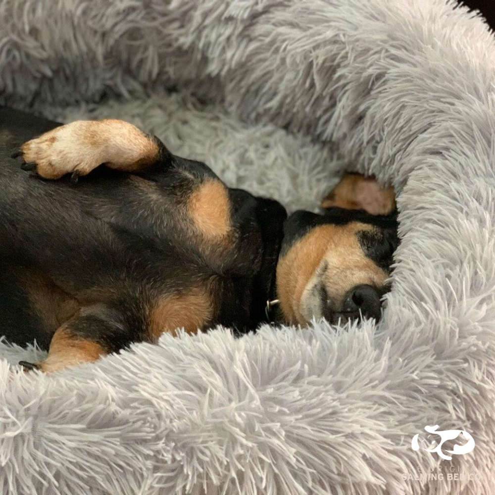 Calming Bed® for Dogs and Cats