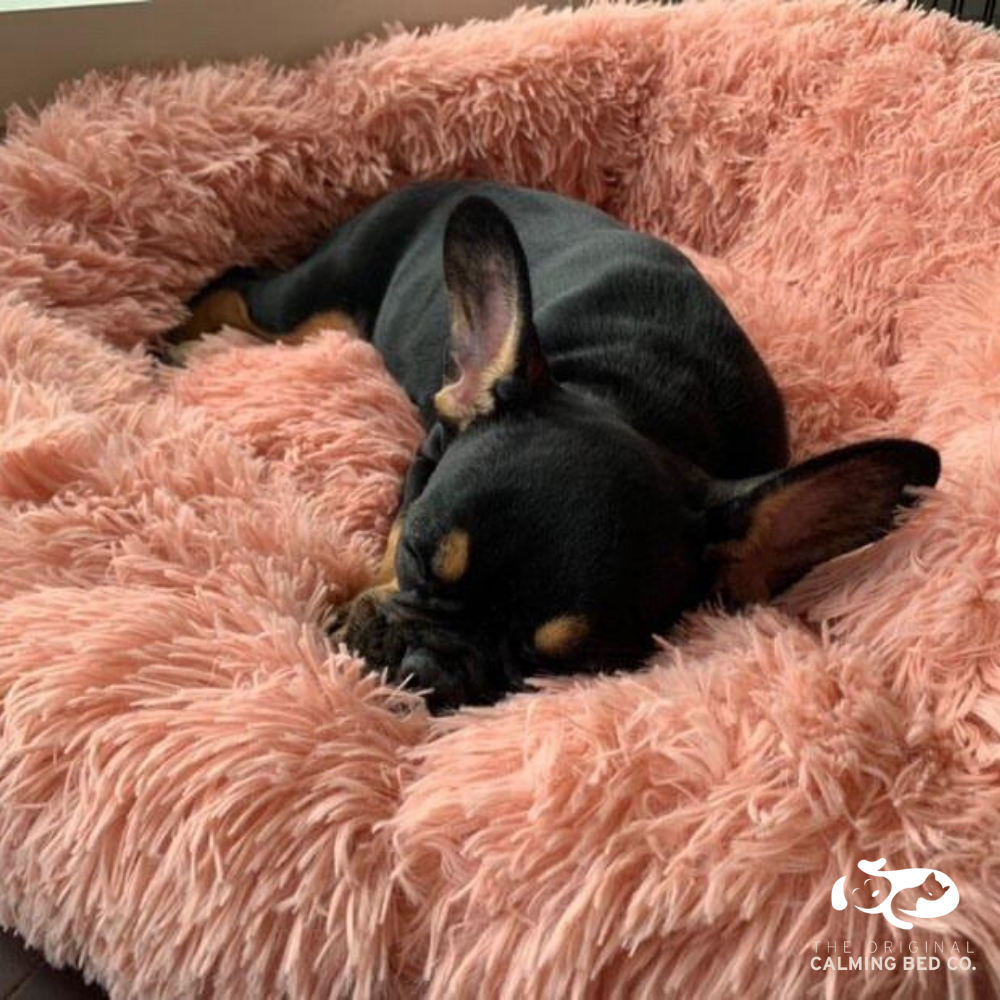 Calming Bed® for Dogs and Cats