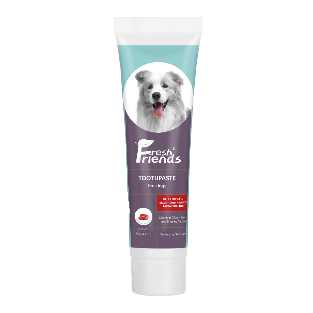 Fresh Friends Dog Toothpaste Beef Flavor 90g - Animall Philippines