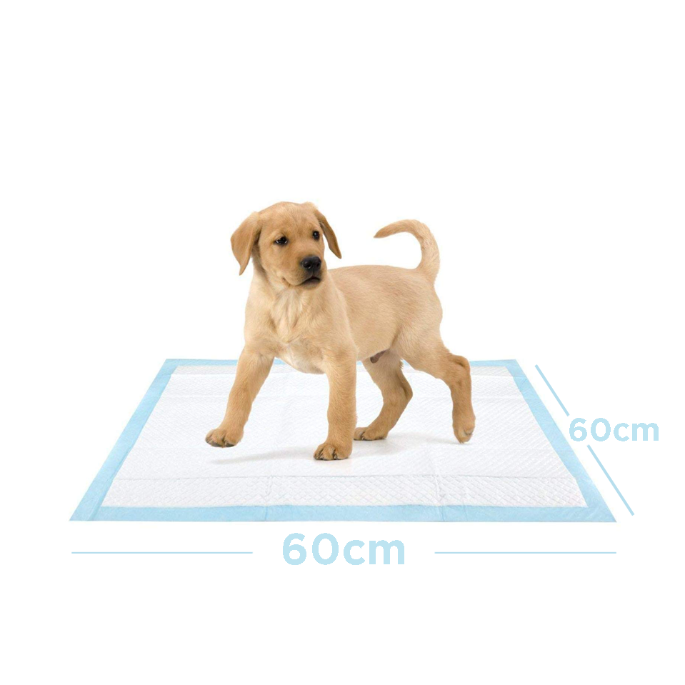 Petter Dog Training Pads - Large (60x60cm) 40 Pads - Animall Philippines